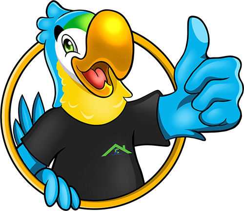 clear conditions parrot mascot